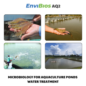 Aquaculture ponds water treatment