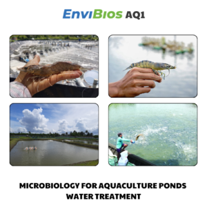 Aquaculture ponds water treatment AQ1