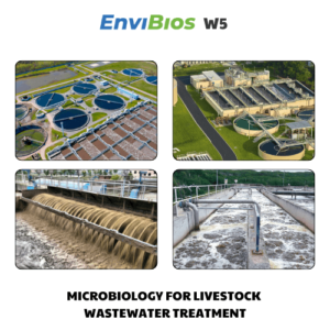 Microbiology for livestock wastewater treatment EnviBios W5