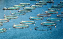 Aquaculture-EnviBios